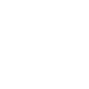 DM Realty